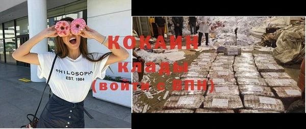 тгк Алзамай