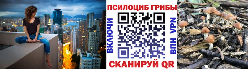купить   Холм  блэк спрут рабочий сайт  Галлюциногенные грибы мицелий 